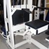 Cybex Assisted Chin Up Dip