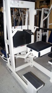 Cybex Assisted Chin Up Dip 1