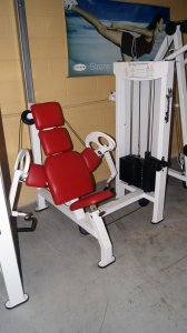 Calgym Synergy Incline Bicep Curl 1
